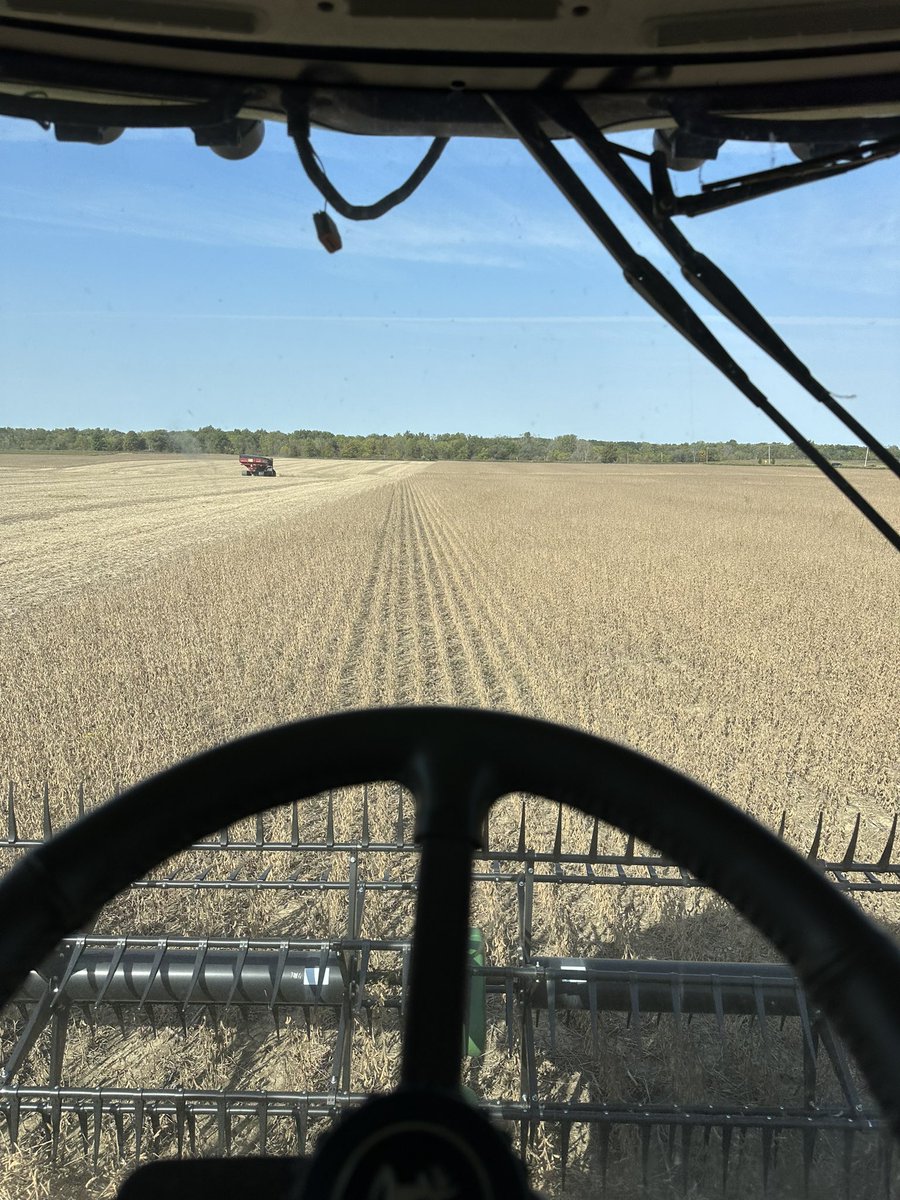 OAC Brutons running strong on the home farm 😀 #harvest24 #ontag