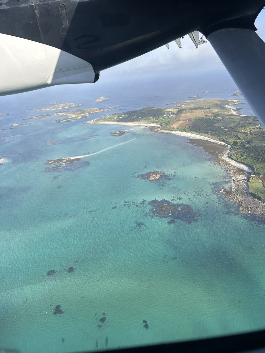 Kerry Siau 💙 tweet media