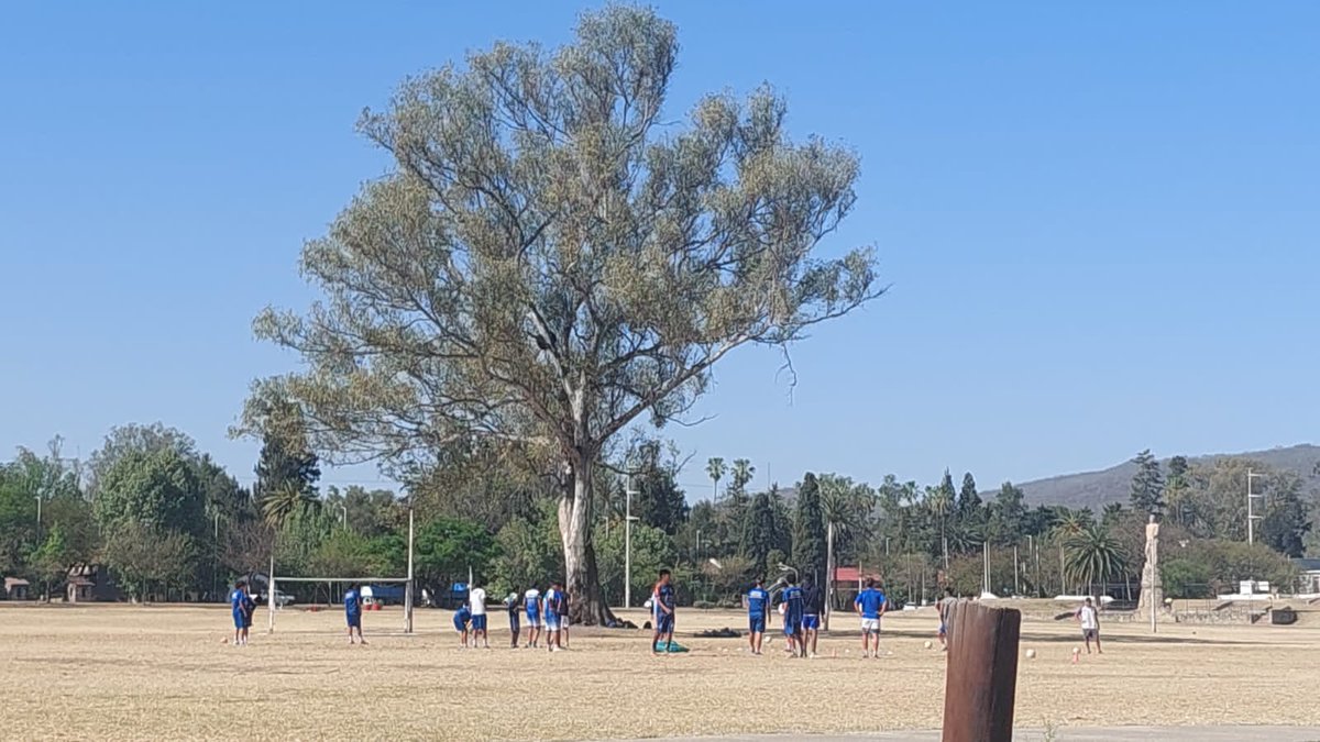 TAntonianos's tweet photo. Lindo lugar para entrenar no?

Gestión Gustavo Klix https://t.co/DCv94k8eLk