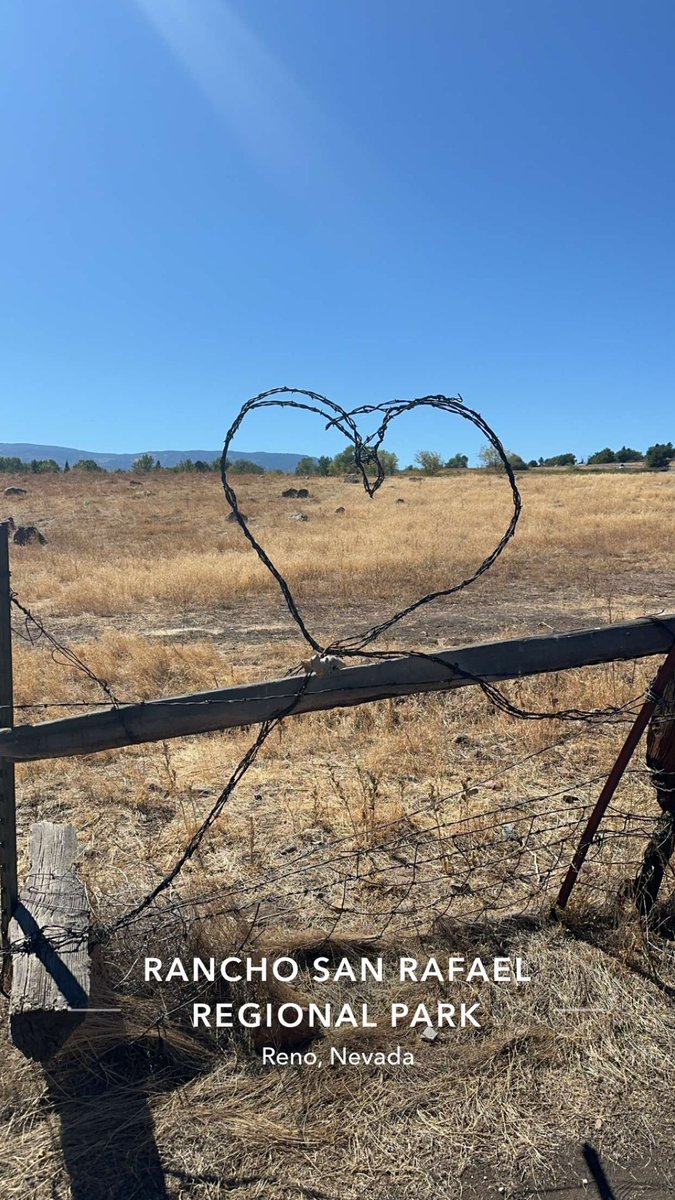 These_Vices's tweet image. 🎰🏜️