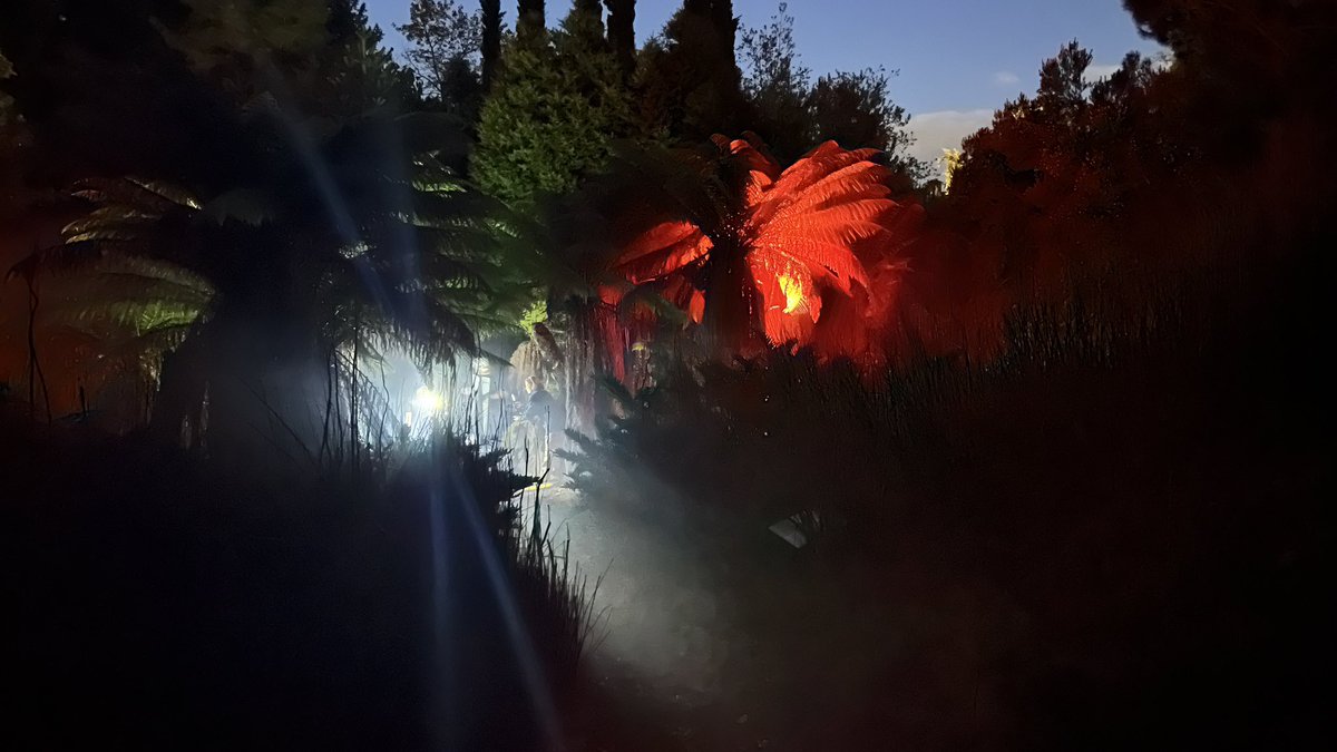 Forest Fire installation at BristolBotanicGardens beginning to come alive . Recommend coming 7pm+ when it’s dark . botanic-garden.bristol.ac.uk/event/tipping-… <a href="/cabotinstitute/">Cabot Institute for the Environment🏳️‍🌈✊🏿✊🏾✊🏽</a> <a href="/BristolUni/">University of Bristol</a>