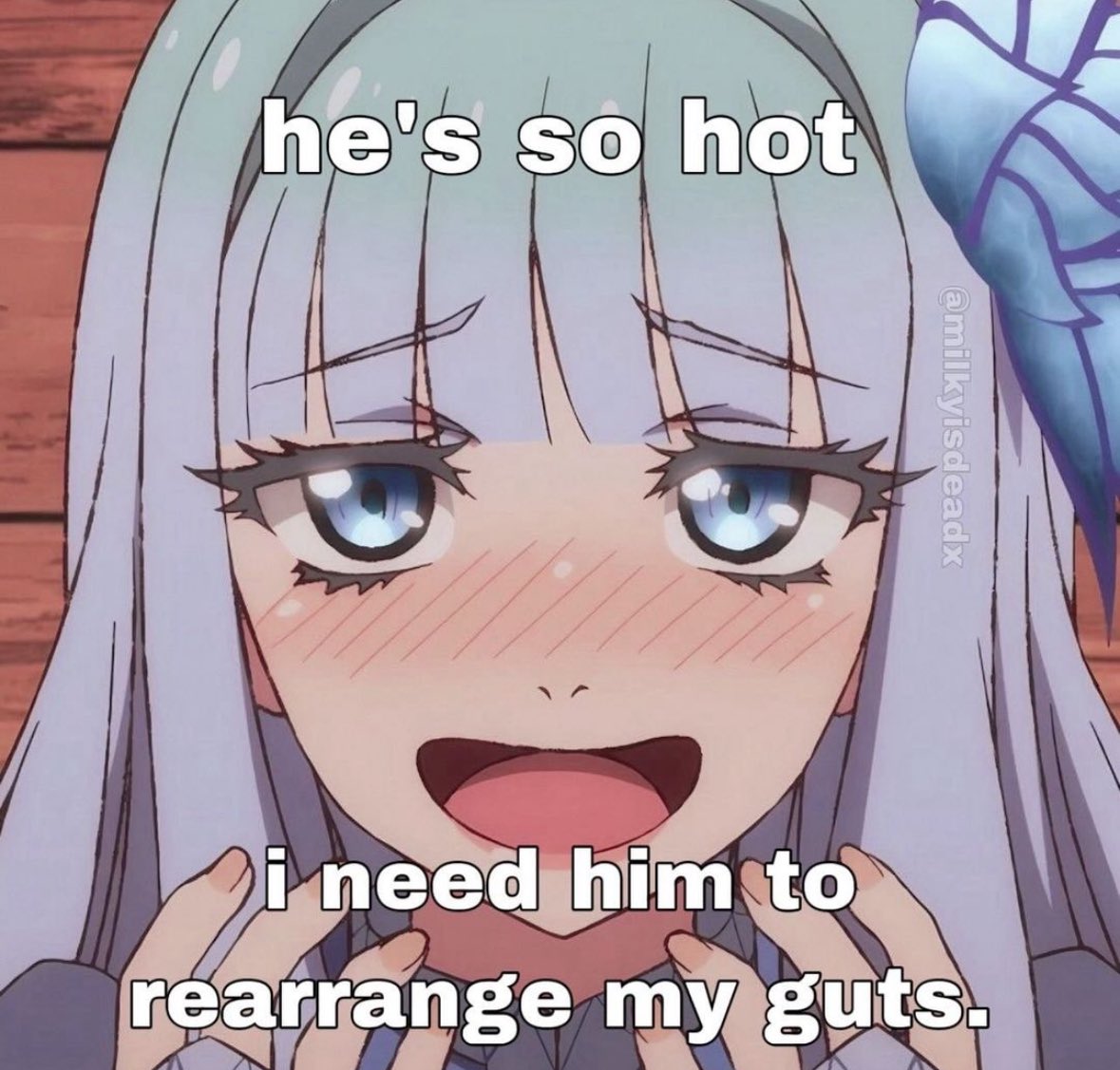 not cute & kinky memes tweet media