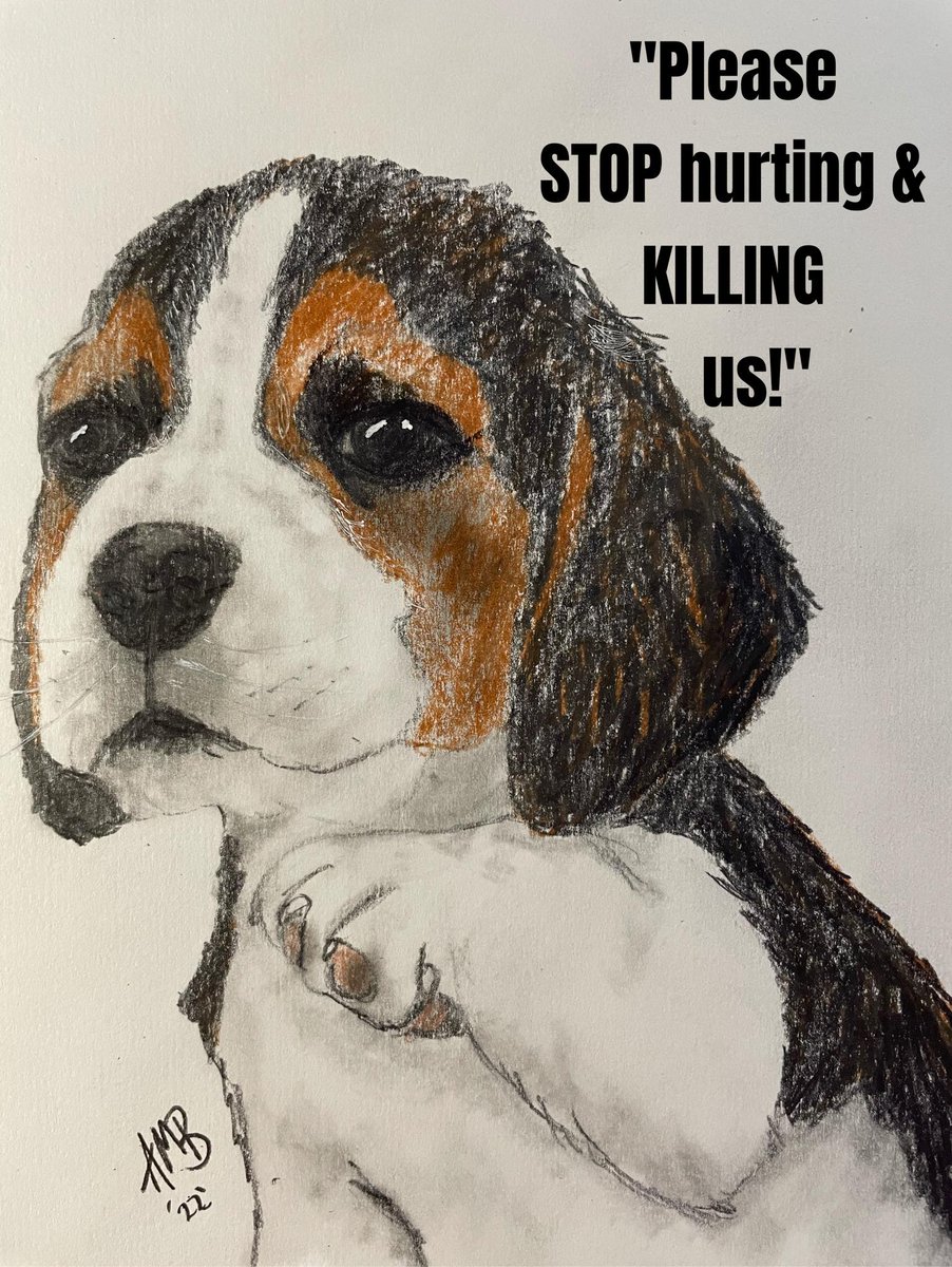 Puppies sent to Labcorp from MBR today :- Those who won't hesitate to vivisect, won't hesitate to lie about it as well.” — George Bernard Shaw
#theprocessofanimaltestinghasneverbeenscientificallyvalidated <a href="/CBUK10/">End Animal Testing</a> @CBUK22 <a href="/jamiecooke67003/">jamie cooke</a>