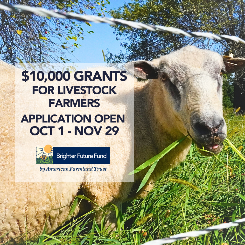 Farmland's tweet photo. Brighter Future Fund GRANT OPPORTUNITY for #livestock #farmers in CT, MA, NH, and VT: Grants of up to $10,000 are available to support field-based #conservation practice projects that improve soil health, water quality, and pollinator habitat. 🐝💧🐐 #farmgrant #farmfunding