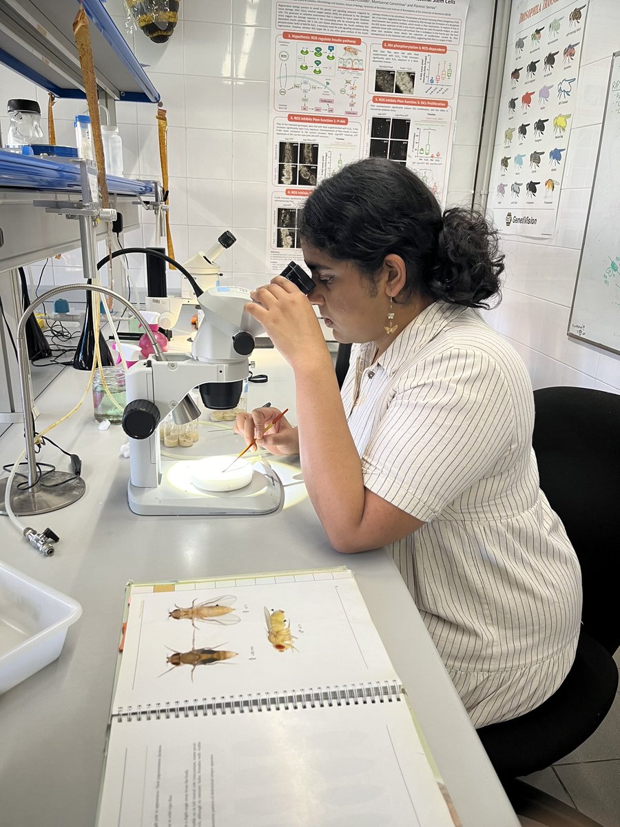 Today we welcome Keerthi Kurapathi from <a href="/StGeorgesUni/">St George's, University of London (1752-2024)</a> who will do a placement with us <a href="/GeneticsUB/">GeneticsUB</a> <a href="/BiologiaUB/">Facultat de Biologia UB</a> until summer 2025!