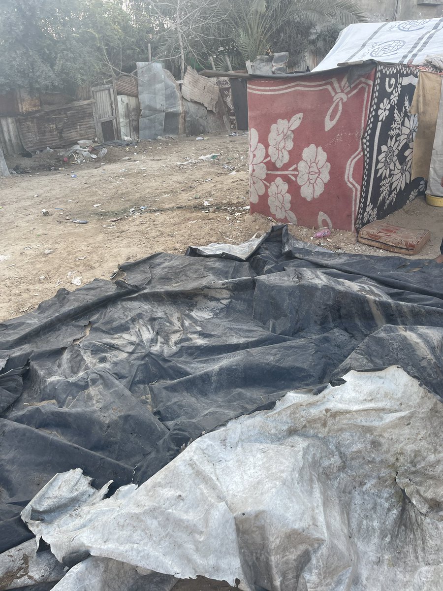 in_mosab's tweet image. Peace be upon you, may God bless you all
I am Musab Talal Atallah from Gaza
I want you to stand by my side. Yesterday it rained and we were drowned in water. I want to get a cover for the tent. Please help me and do not be stingy with your support. ππππ΅πΈ