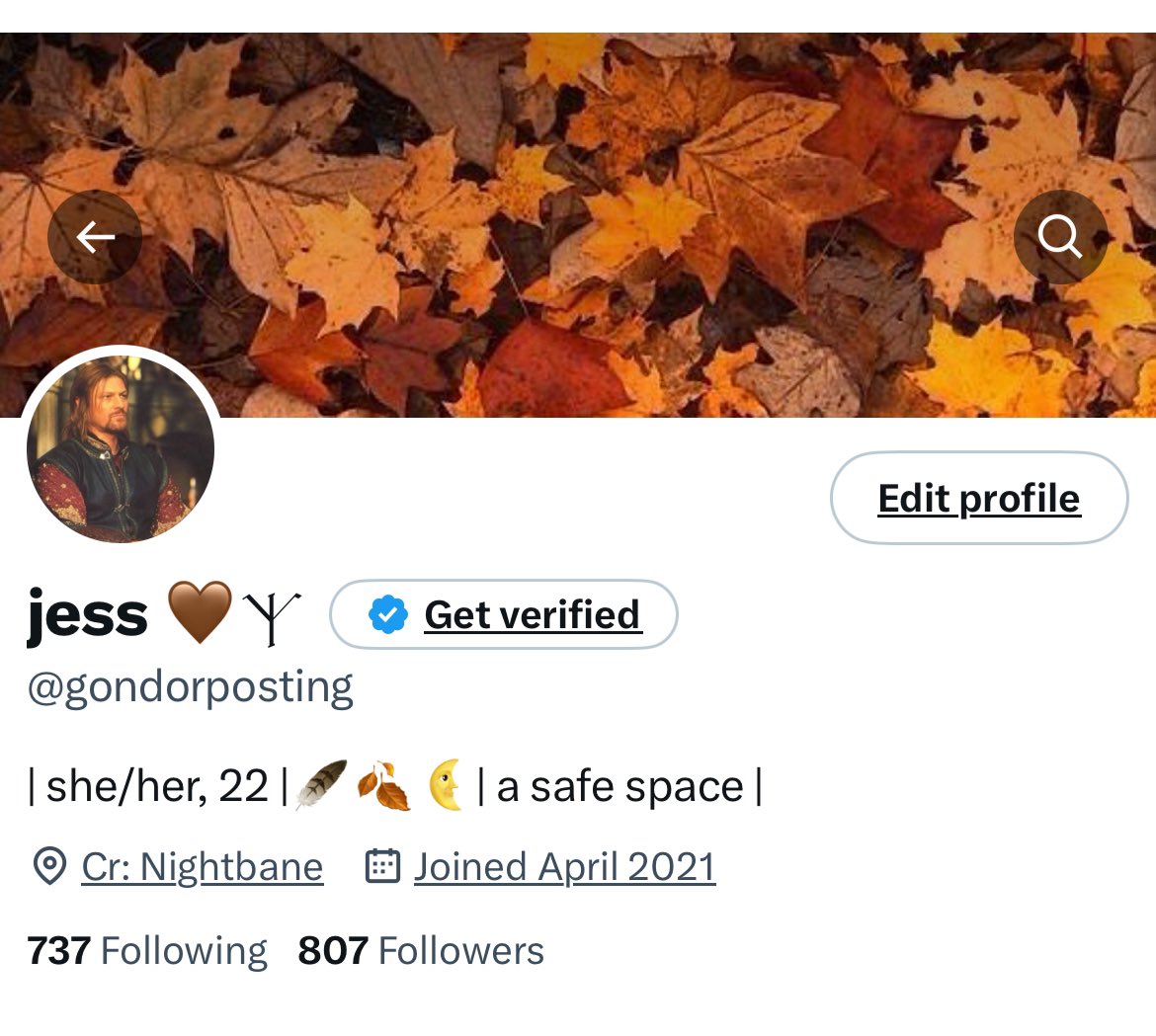 gondorposting's tweet photo. New layout slay ✨🍂🤎 https://t.co/qsGsK4j6wC