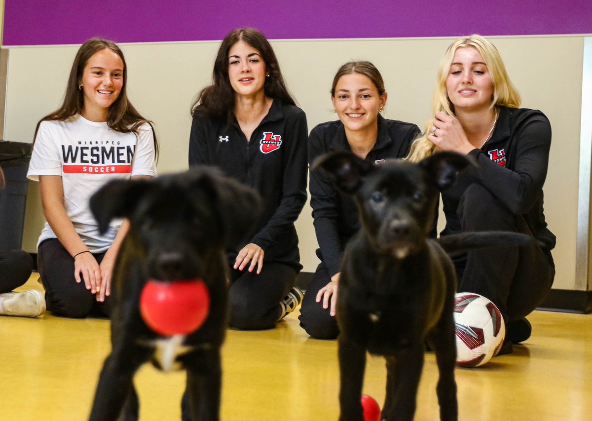 Wesmen Women's Soccer tweet media
