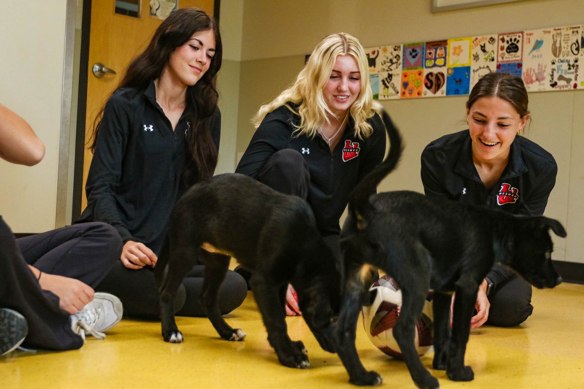 Wesmen Women's Soccer tweet media