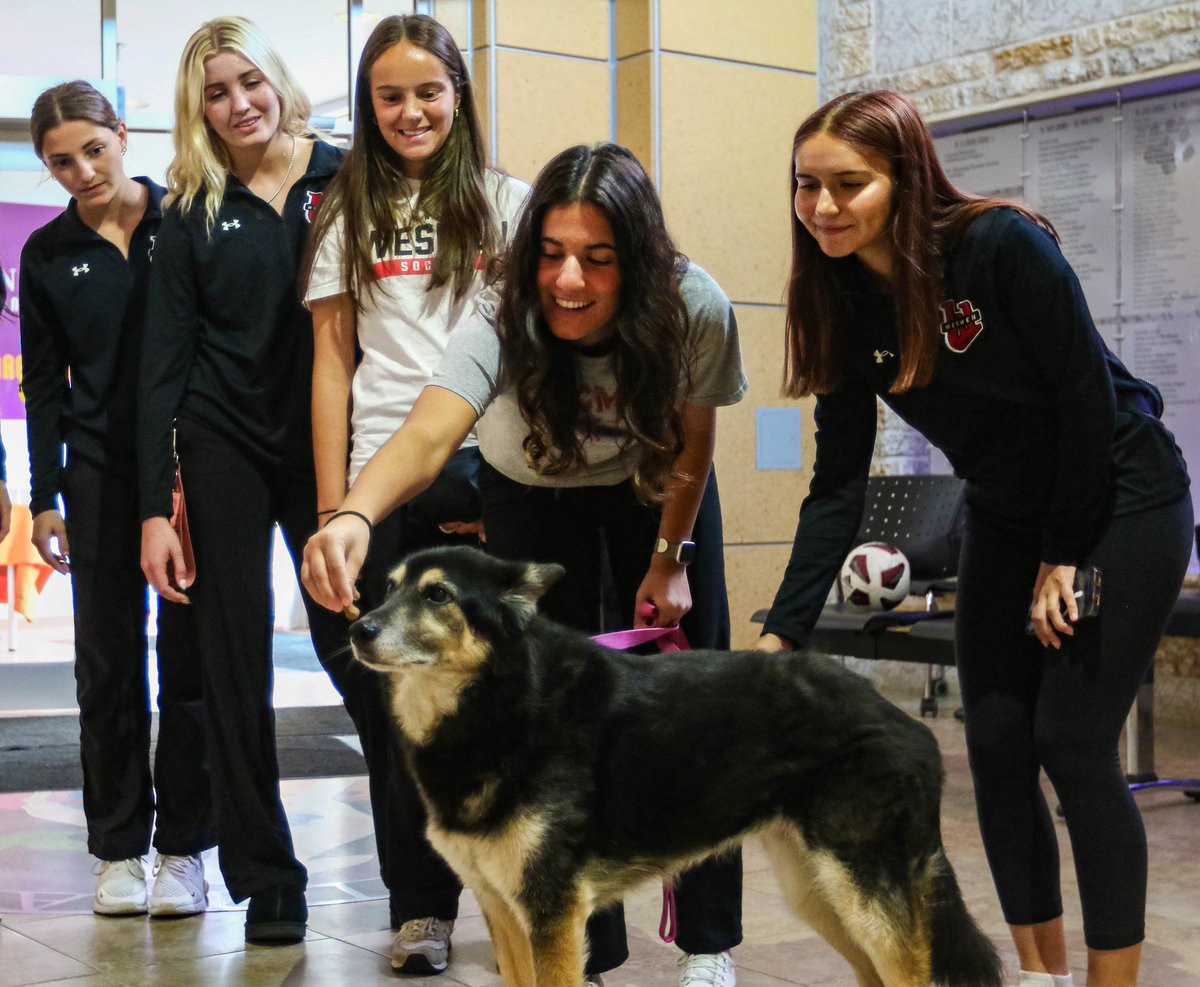 Wesmen Women's Soccer tweet media
