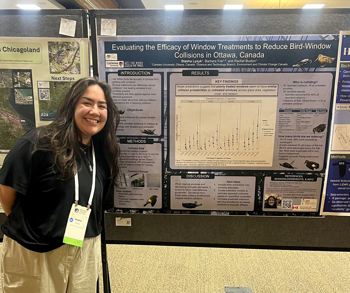 Stasha Lysyk (@lysykstasha) on Twitter photo so happy and excited to present the first year of my MSc research at AOS24!! thanks for having me to talk all about window treatments and conservation solutions!! <a href="/AmOrnith/">American Ornithological Society</a> #AOS24 so happy and excited to present the first year of my MSc research at AOS24!! thanks for having me to talk all about window treatments and conservation solutions!! <a href="/AmOrnith/">American Ornithological Society</a> #AOS24