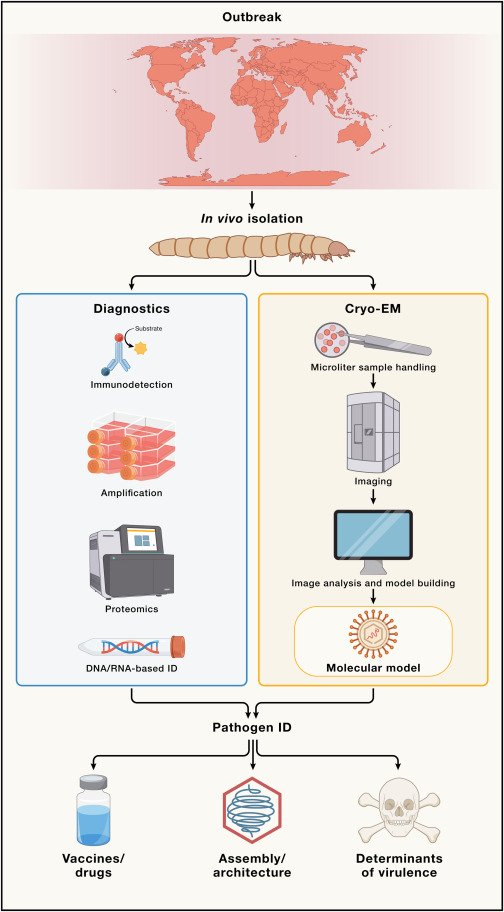 Waggoner Lab tweet media