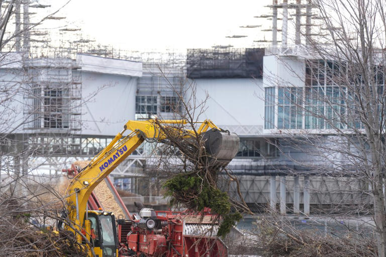 Penalosa_G's tweet photo. Sad! Over 800 trees are being cut, mafia style, began at night, dark, no people watching.
Who's responsible? Agree 100% with Alex: "@fordnation is responsible, with the collaboration of @UrbStrat @DiamondSchmitt @Studiotla" many civic & poli 'leaders' whose silence spoke loudly! https://t.co/4vhryU8O3H