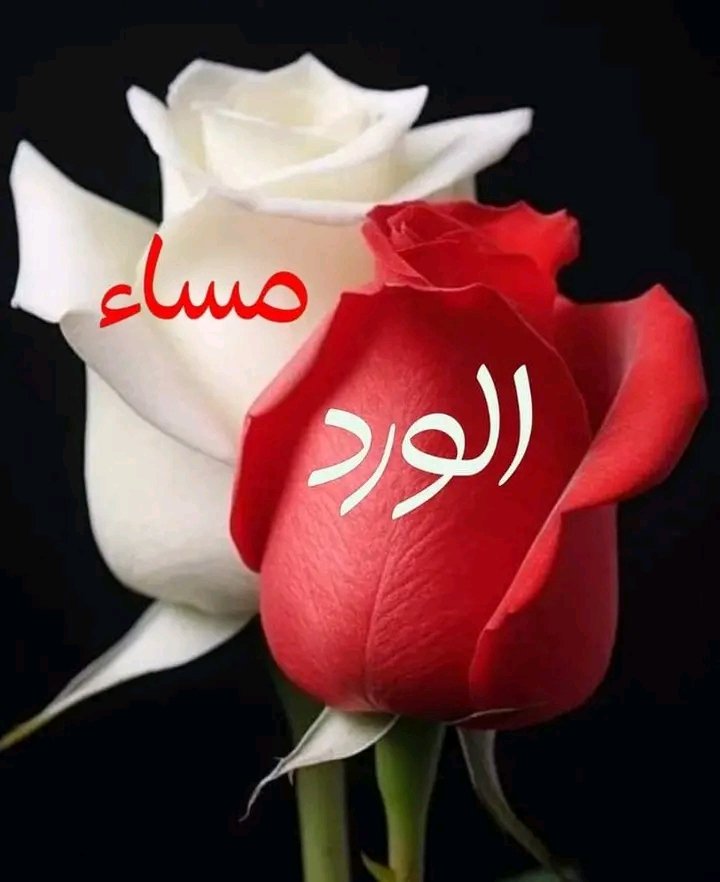 «  أسوأ مسافة بين شخصين هي "سـوء الفهـم"
وأخطر متاهة بينهم هي "سـوء الظـن" 
فـ بين مقصود لم ينطق ومنطق لم يقصد
وقتها هنا تضيع سبل المودة والتفاهم. 

اسعدالله مساؤكم بالخير والسعادة 🌹🌺🌹