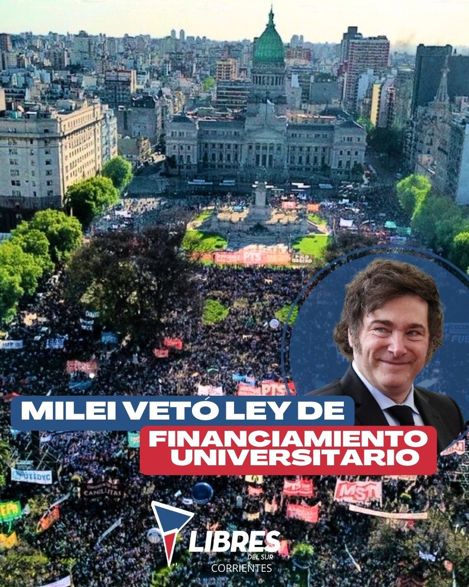 Partido Libres del Sur Corrientes tweet media