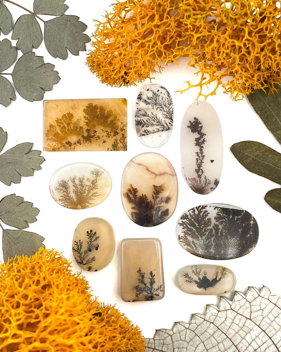luciditygems's tweet photo. SCENIC DENDRITIC AGATE 🌳 with its beautiful tree-like inclusions.  When people first see this beautiful stone they think it is fossilized plants 🌱 but it occurs when water enters the agate through a tiny crack and crystallizes 💎 to form these lovely dendrites. https://t.co/xAmXpn4UL0