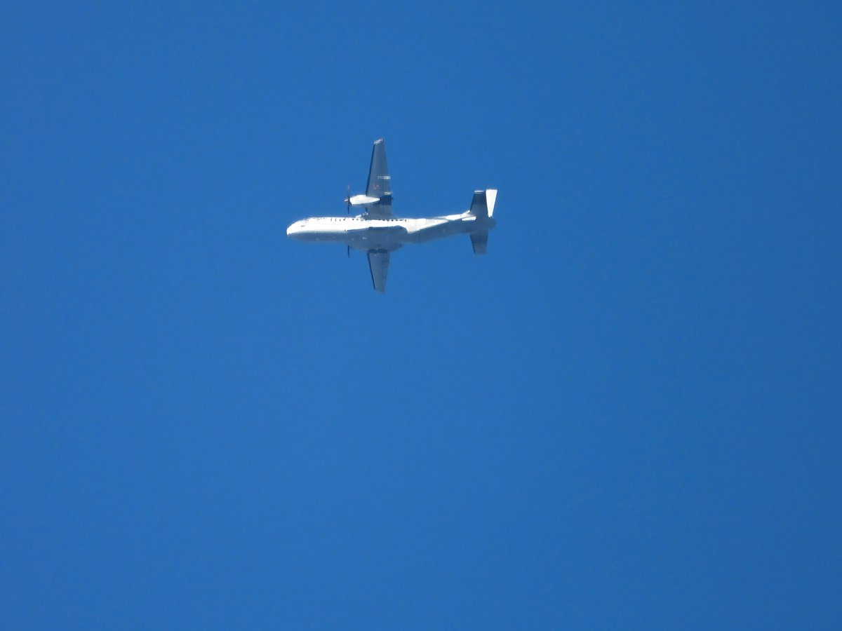 wesleyb1989's tweet photo. Finally! i got you #C295 #Persuader
for the very first time :D
#PLF034 #48D855 #Poland
#NLspot #Nikon #P1000 https://t.co/M6R2RCBcLq