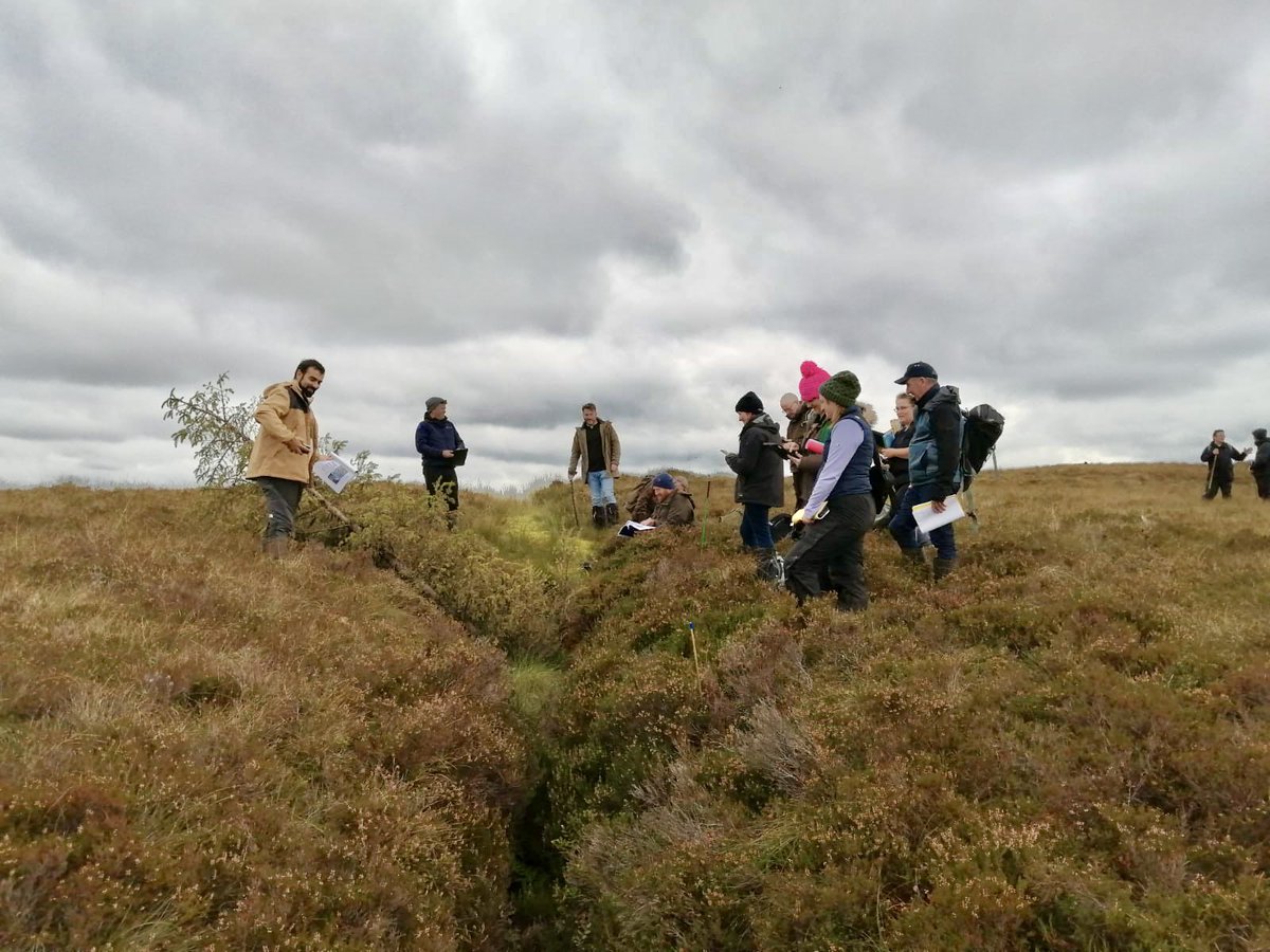 Dr Guaduneth Chico 🌱🌍🇮🇪 tweet media