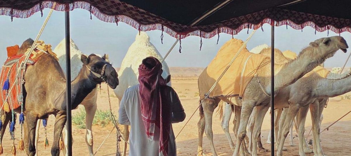 بذلنا الجميل ولا نشدنا عن المردود
على الله جزانا ، والجمايل عوايدنا .