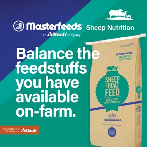 🐑 Masterfeeds Thrive Sheep Pellet contains 15% protein and is 100% chelated with high vitamin levels and buffer YeaSacc® and Actigen® to assist in stabilization of the gut by reducing digestive upset and improving digestion and absorption.