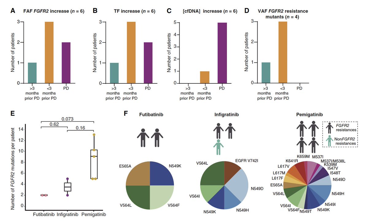 Clinical Value of Liquid Biopsy in FGFR2+ CCA During Targeted Therapy
<a href="/CCR_AACR/">Clinical Cancer Research</a> 
doi.org/10.1158/1078-0…
👉90% of FGFR2 fusion are detectable by ctDNA
👉⬆️level correlate w/ worse outcome &amp; impaired liver function
👉good correlation w/ response &amp; PD
👉Polyclonal resistence w/