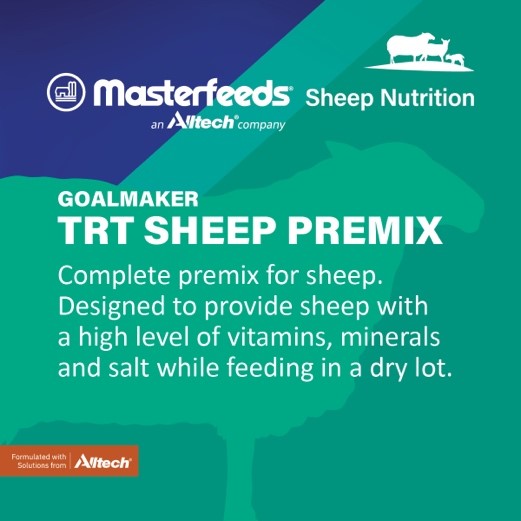 🐑 Masterfeeds GoalMaker TRT Sheep Premix is a complete palatable premix for sheep. It is designed to provide sheep with a high level of vitamins, minerals and salt while feeding in a dry lot.

Masterfeeds Sheep Program provides rations to match your management style.