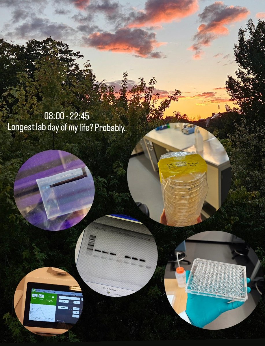 Andi Wilson, PhD | Bluesky: drandiwilson tweet media