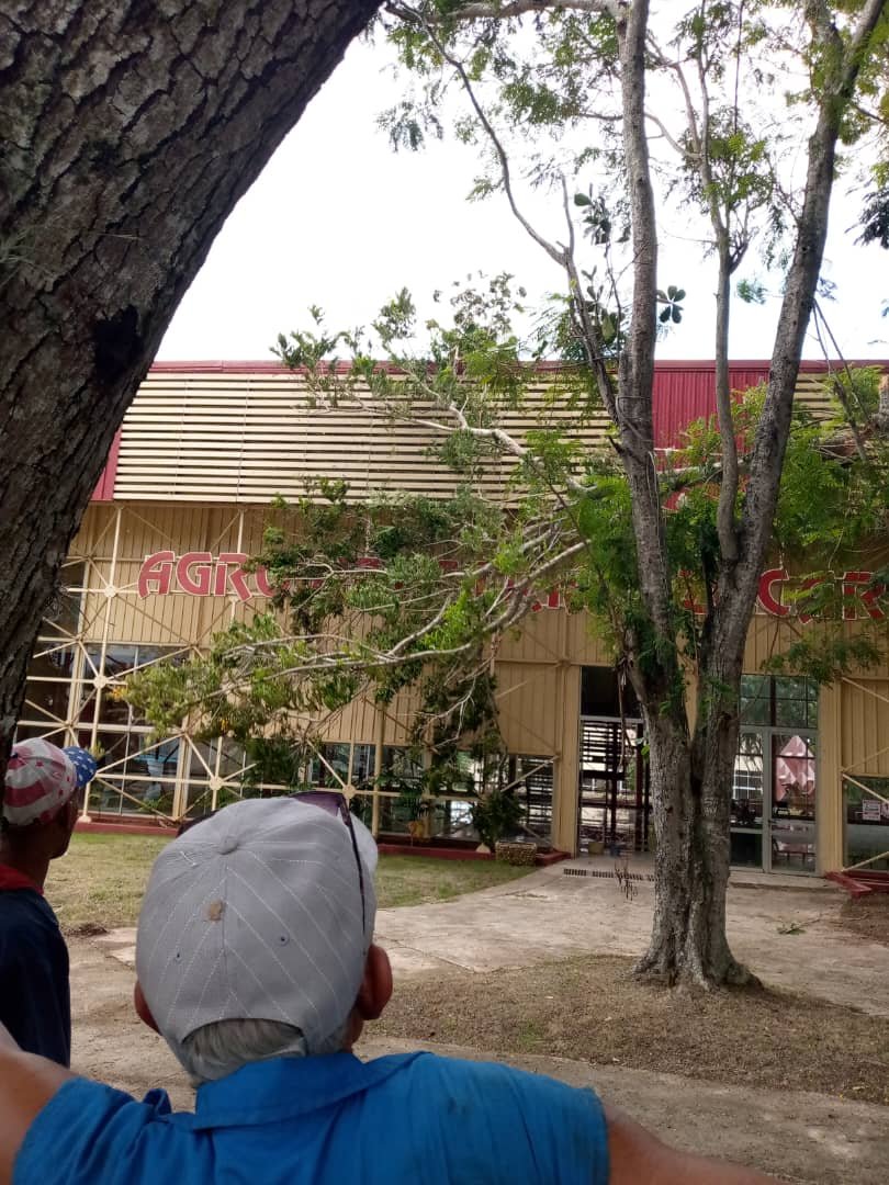 La Empresa Tranzmec se suma al trabajo productivo con nuestros camiones y cargadores en el stand del Grupo Azucarero Azcuba en <a href="/ExpoCuba/">Expo Cuba</a> 
#tranzmecentodaspartes
<a href="/seguidores/">seguidores</a>