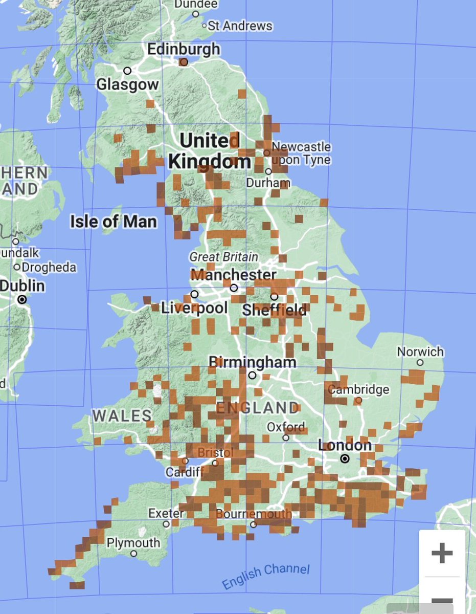 Today I planted out the first of what will hopefully be many more Dyer's Greenweed plants which have been grown from cuttings taken from plants on the same site (Loweswater). 

#Plants #Conservation #Genista