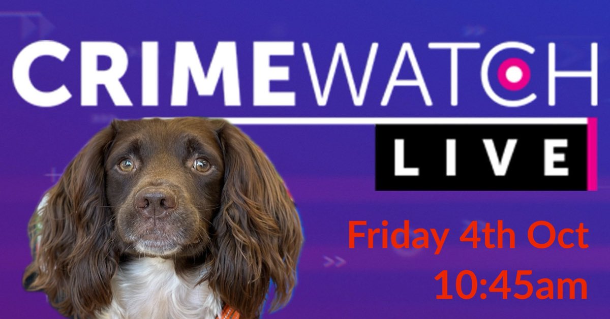 BWYK9's tweet image. Tune in to BBC Crimewatch LIVE tomorrow to see Vape Detection Dog Griff. 
#bwyk9 #illegaltobacco #vapes