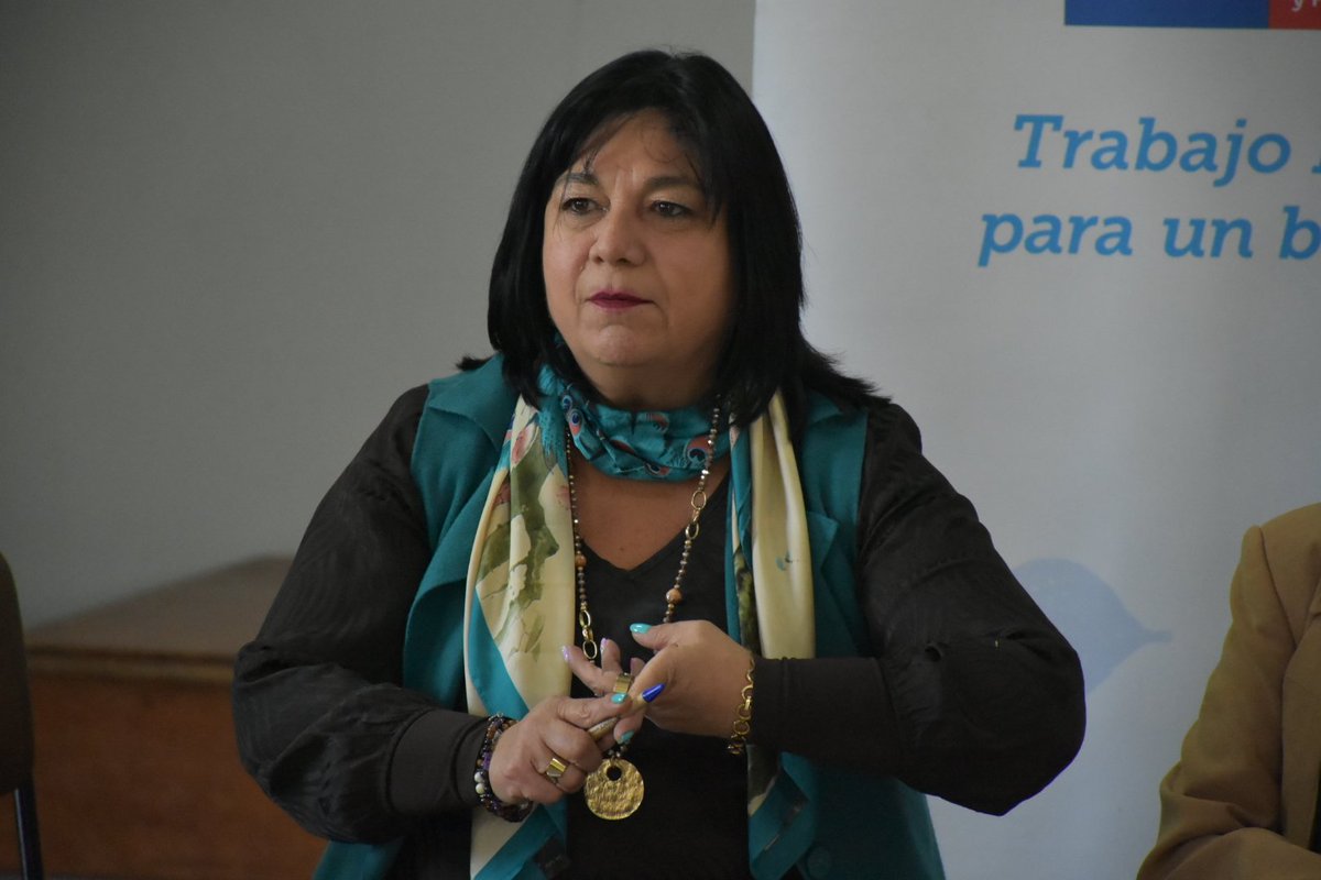 Sence Biobío tweet media