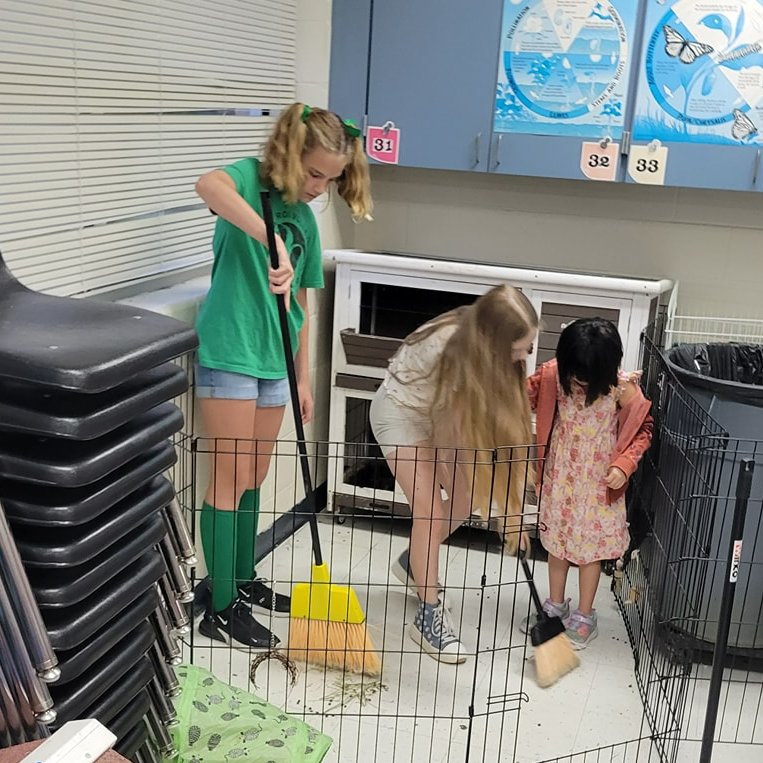 Plano_Schools's tweet photo. 4th and 5th Graders from @HughstonMustang, as well as their teachers, volunteered to care for the animals in their science lab this morning. What a tremendous way to display #DedicatedtoCaring on this #ThoughtfulThursday! โค๏ธ https://t.co/TVo5E7P1oE