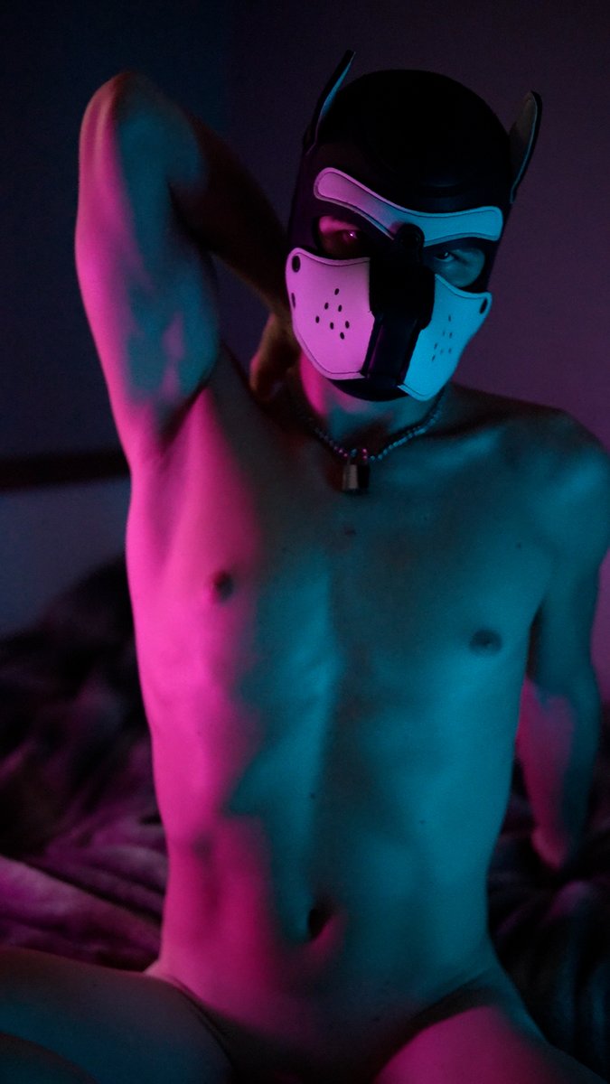 PupDova's tweet photo. Locktober day 3- Cage check 
 The hornyness begins. plus i have a cold again. https://t.co/JMP6vFg8tv