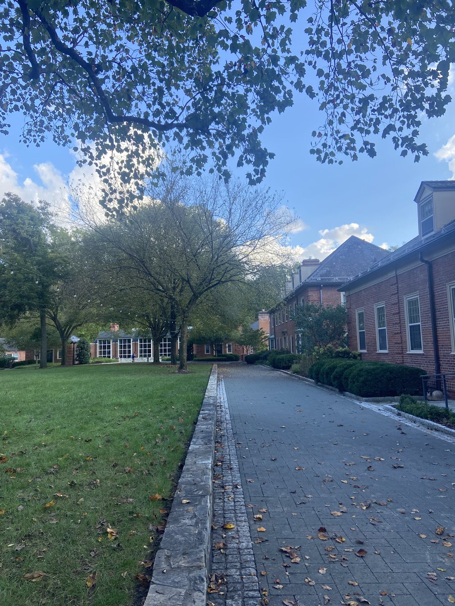 MadeiraSchool's tweet photo. When the Sun finally shines on the Oval ☀️🥰

#MadeiraOval #MadeiraHomeAwayFromHome https://t.co/1d3g96m4gj