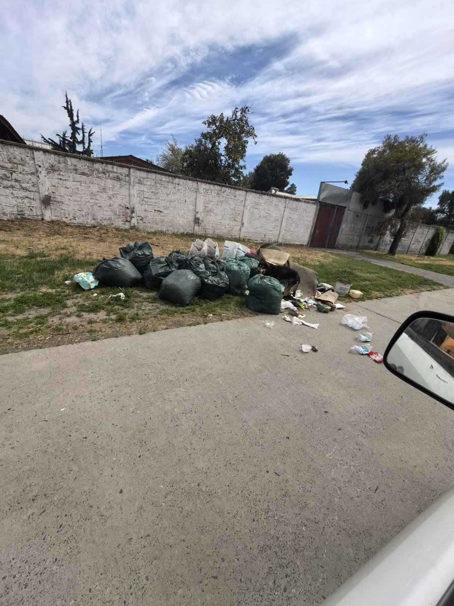 hernan_mh's tweet photo. @emeavendanoll por favor ayúdenos a eliminar este basural que se está armando en nuestro pasaje, la gente no tiene conciencia. Senador Florencio Durán con Los Ciruelos, villa Tupahue. https://t.co/8yIF4mTrWH