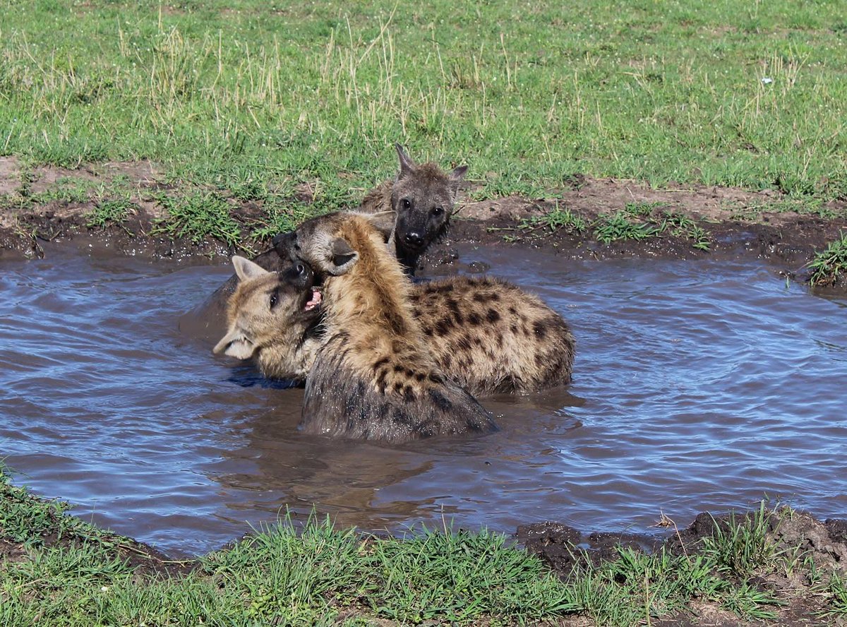 Erin Person tweet media