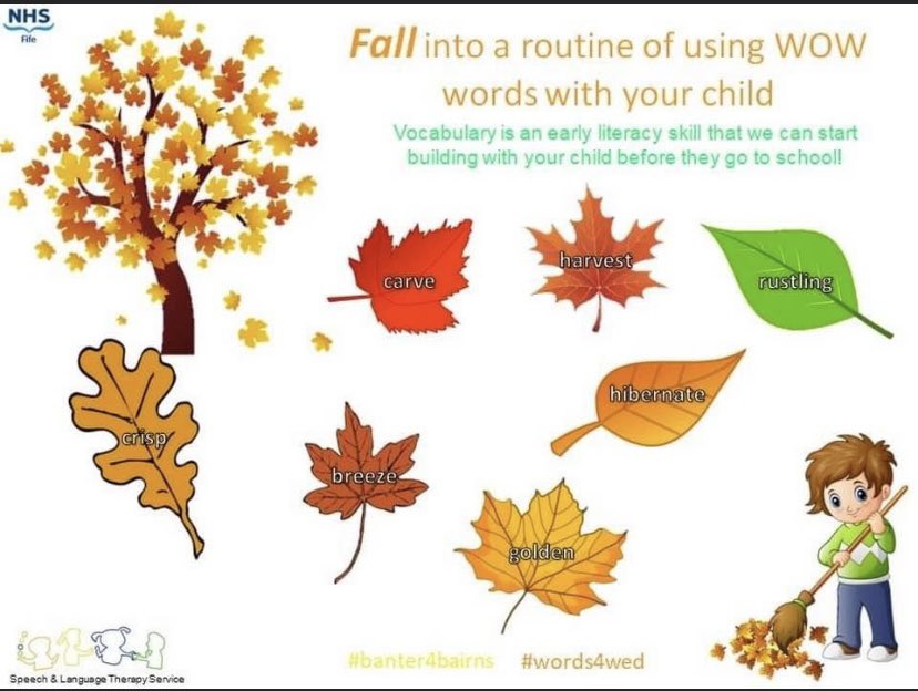 Forehill Nursery tweet media