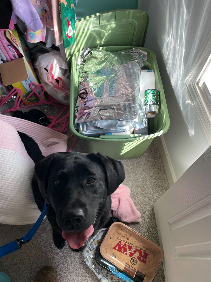 ATF Charlotte tweet media