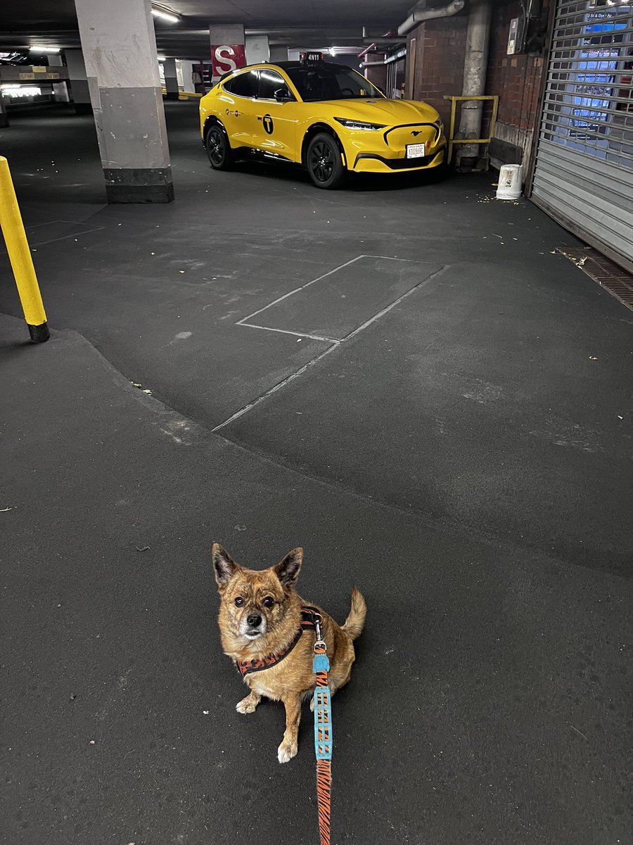 Amanda Stevens Photography tweet media