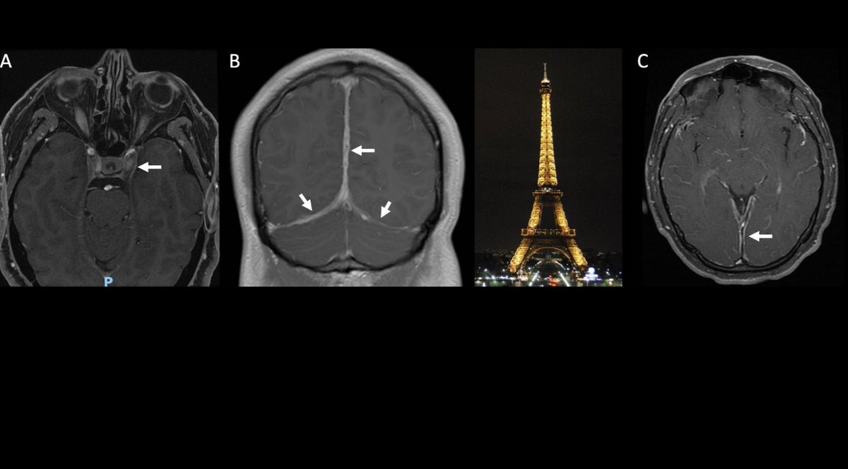 Eduardo Martín-Nares tweet media