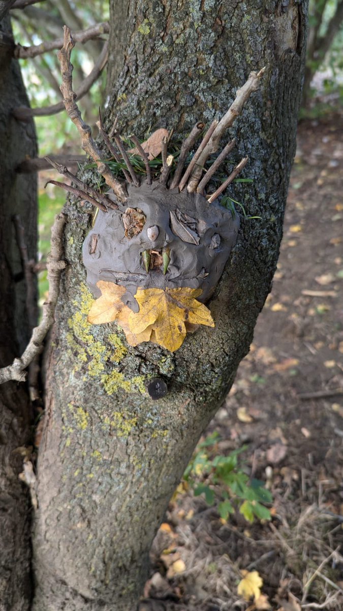 RockinghamJI's tweet photo. The children have created some beautiful clay faces within the forest school. I wonder if other classes can find them when they explore the outdoor area. Well done everyone. 🌳 Thank you Mr Purshouse. https://t.co/Hu5BL5GUvP