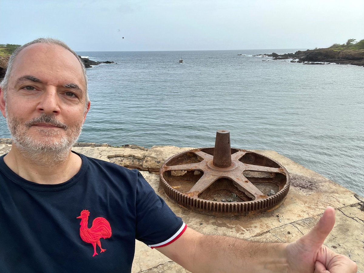 Paulo Jorge tweet media