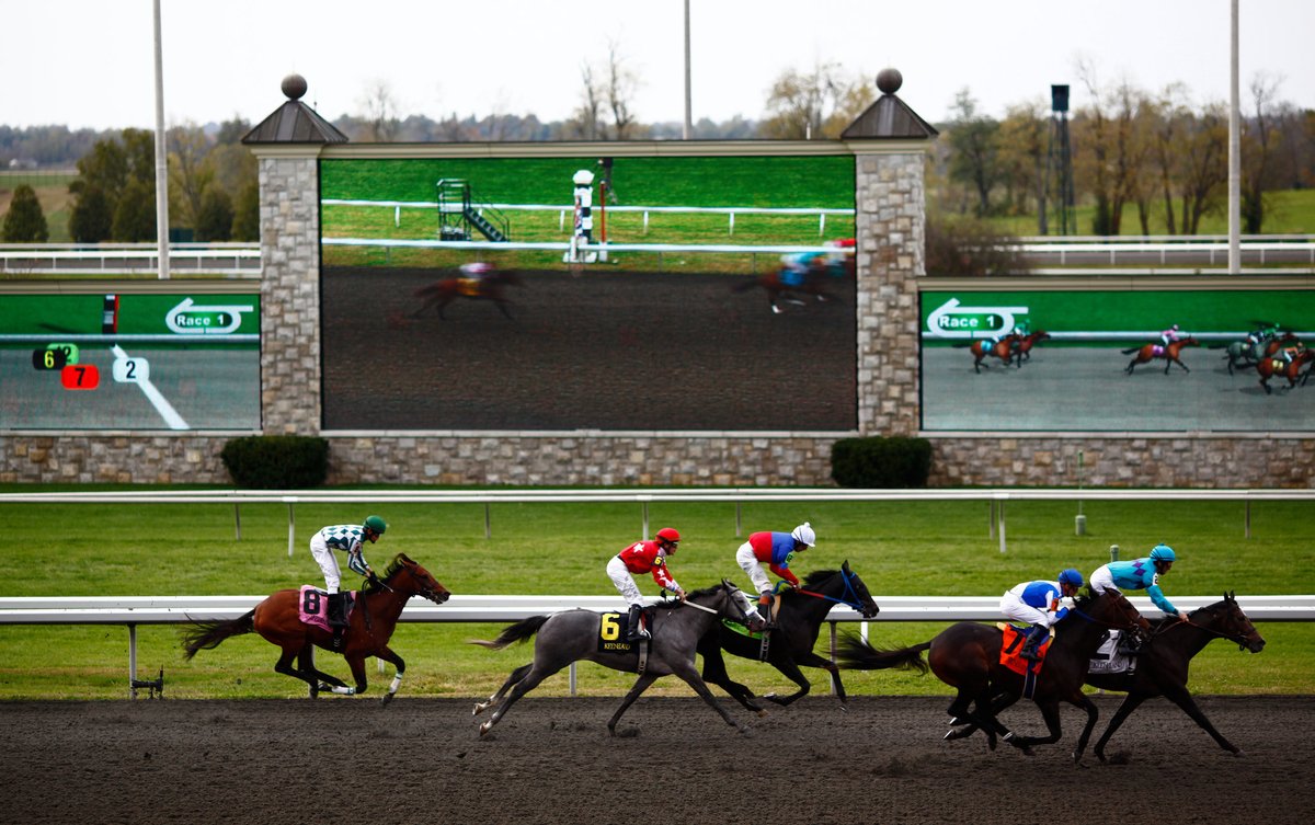 The RacingDownWind Community tweet media