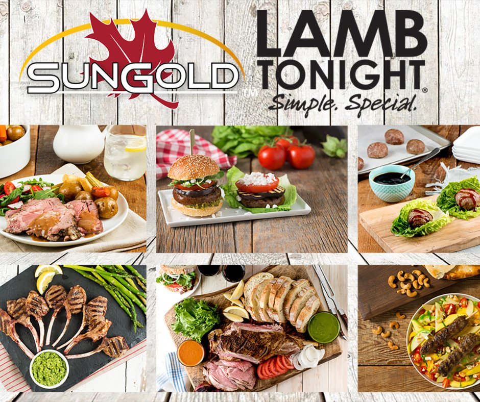 Not sure what to try next for your lamb meals, check our collection of lamb recipes to try for you family and friends. Whether its spring summer fall or winter, we have recipes to fit the occasion.