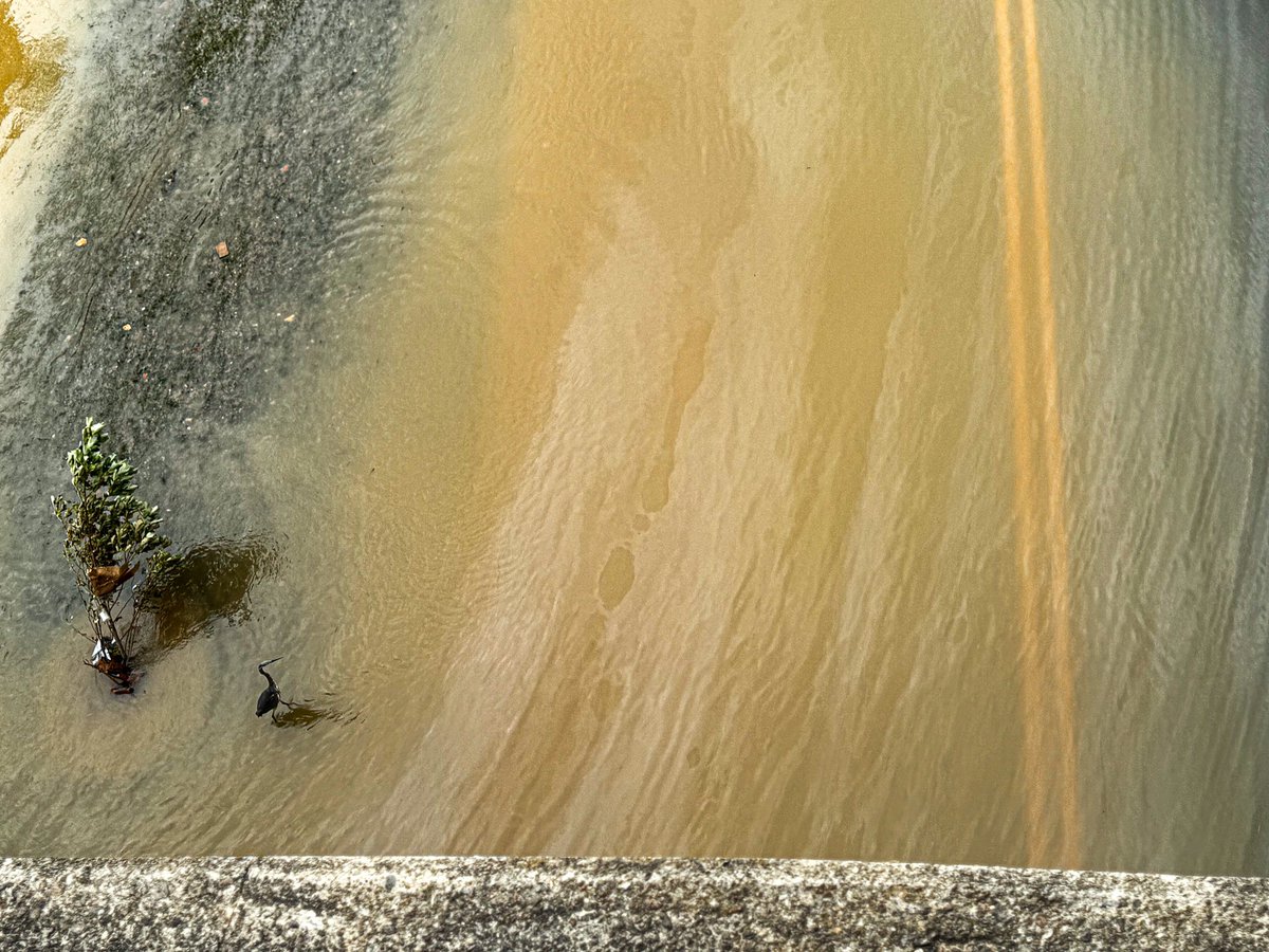 Attention <a href="/ATT/">AT&T</a> <a href="/Verizon/">Verizon</a> <a href="/TMobile/">T-Mobile</a> CEOs

This is a plea for help.

Most of the folks in WNC are still without power, running water, and internet. Our wireless devices are our only method to access and disseminate information.

You have the power to give everyone unlimited data in
