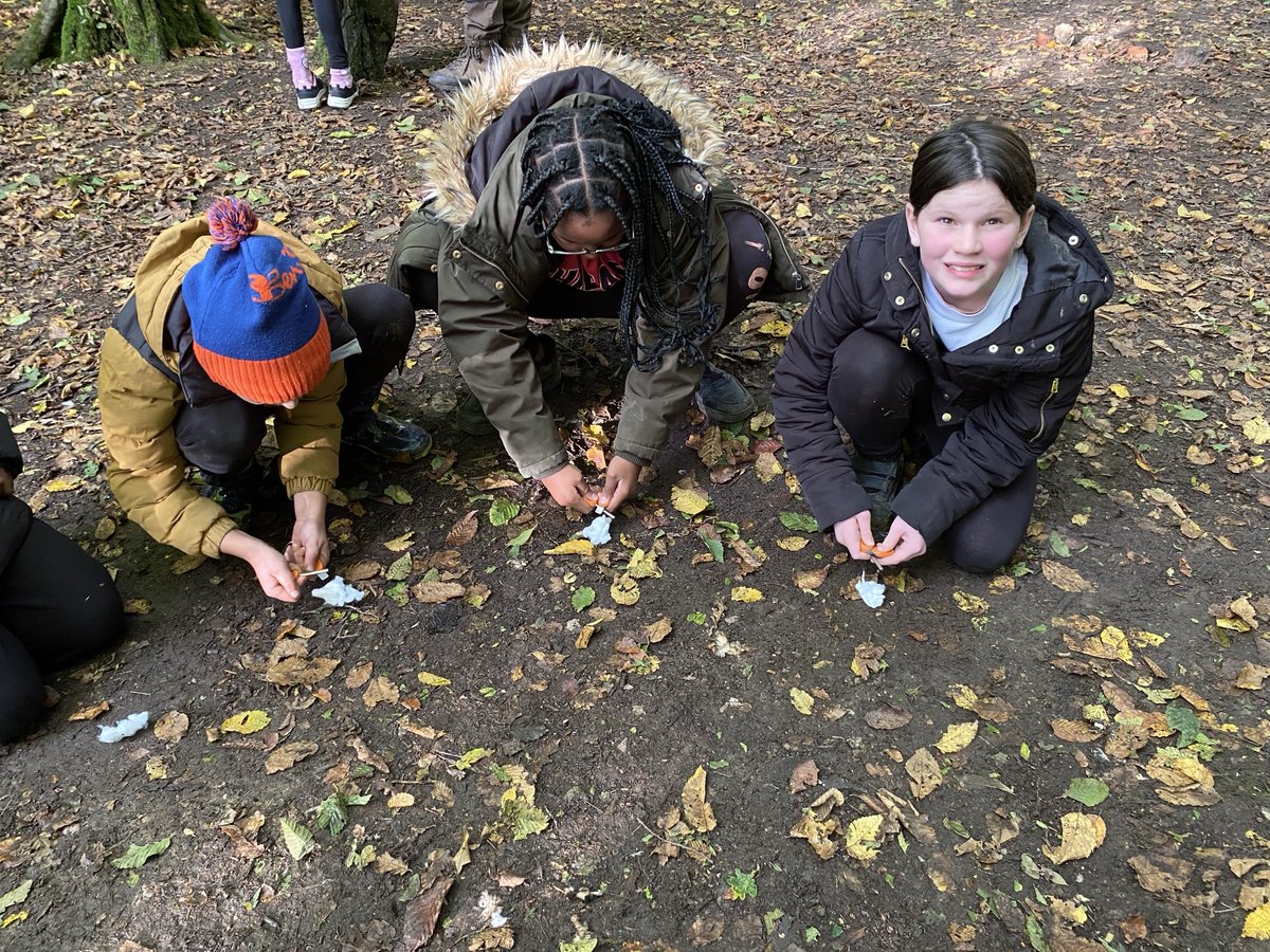 ⁦<a href="/FossdeneSchool/">Fossdene Primary School</a>⁩ ⁦<a href="/Year6Fossdene/">Year6@Fossdene</a>⁩