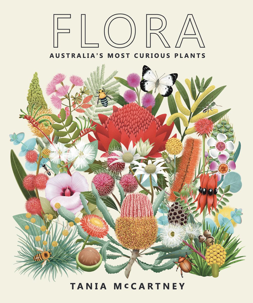Tania McCartney (@taniamccartney) on Twitter photo FLORA: Australia’s Most Curious Plants - out now! <a href="/nlagovau/">National Library of Australia</a>
bookshop.nla.gov.au/p/flora-austra… FLORA: Australia’s Most Curious Plants - out now! <a href="/nlagovau/">National Library of Australia</a>
bookshop.nla.gov.au/p/flora-austra…