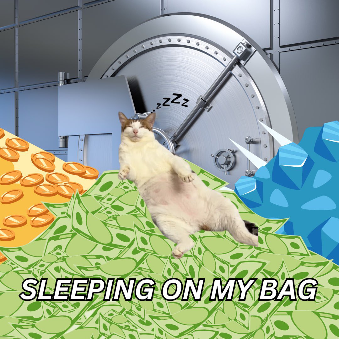 Wick_viss's tweet photo. @itsFoxCrypto The next $Pepe is already launched 

Don’t fade 🚫 $BaoBao

Active community + Trending on @pumpdotfun + Tokenomics = Good buy

$BaoBao CTO is flying high, don’t stop

Ca= F7Y3YYaQw3DfmYLQZd6ayYTaPNX8fVaCJX9BD3tvSb6m https://t.co/ugrrQQJNTP