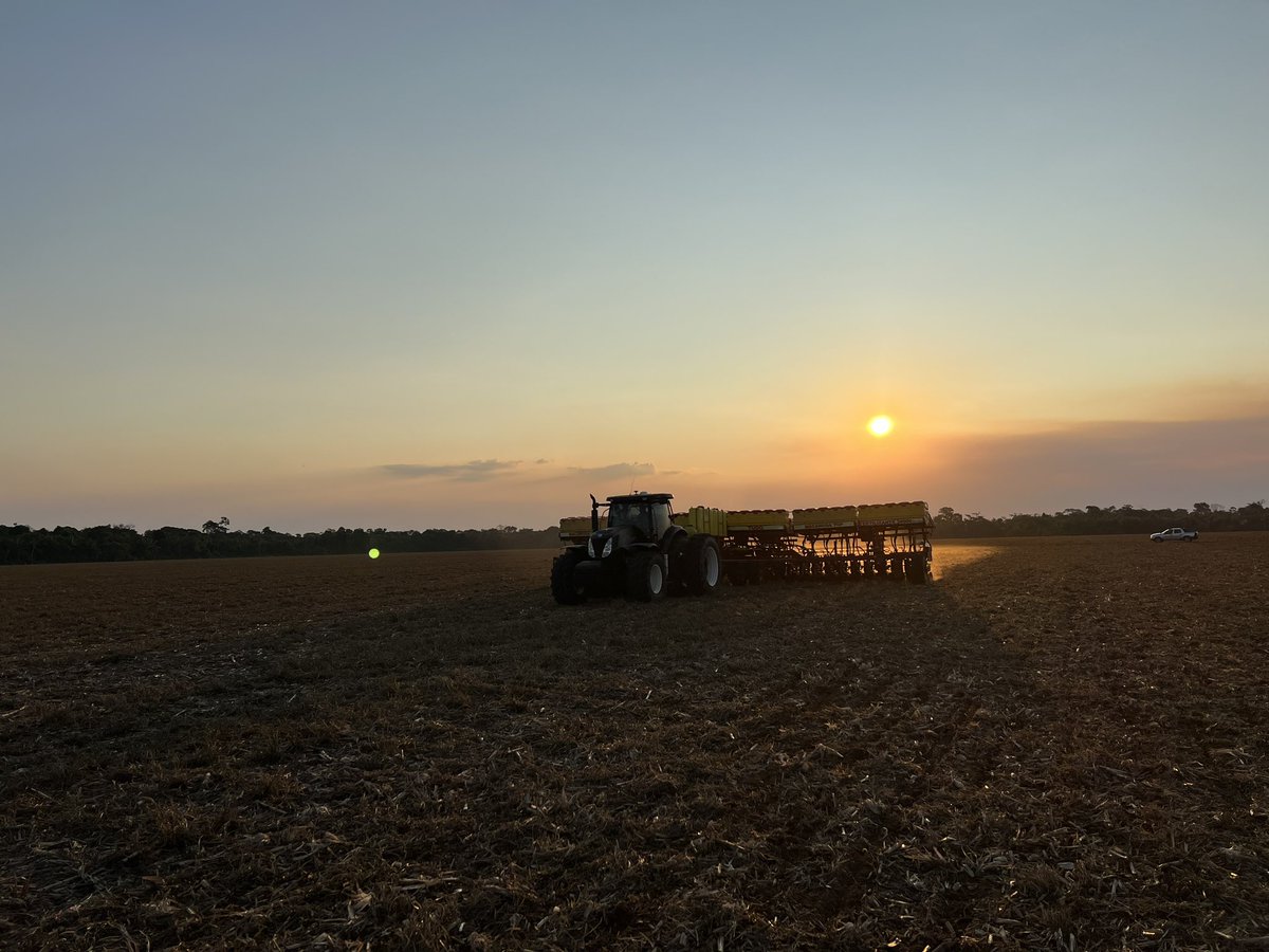 West of Mato Grosso. Season 2024-25. Good soil moisture.