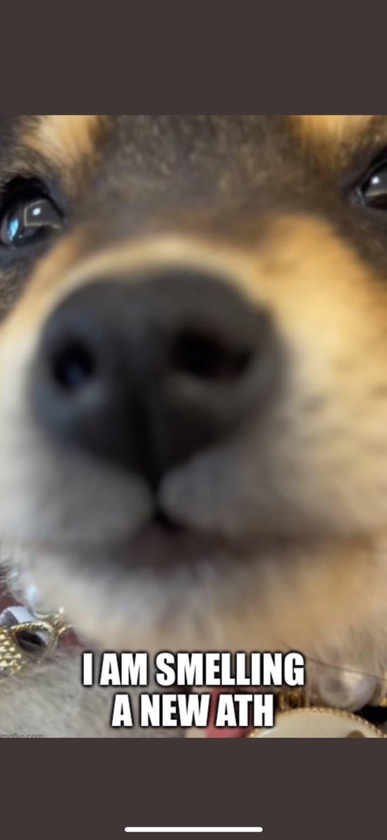 _Shadow36's tweet image. YOU

MUST

HOLD

FOR

GOLD

$Manyu